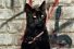 JM-Chat-68x45