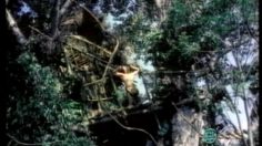 poster-10151-nokia-tarzan-et-la-technologie-236x132