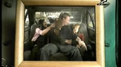 poster-10158-securite-routiere-safety-belt-236x132