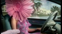 poster-10313-renault-twingo-kiss-cool-la-fleur-kiss-cool-236x132