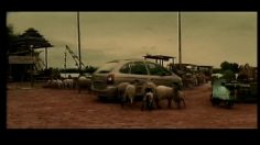 poster-10423-citroen-xsara-picasso-le-zapping-picasso-236x132