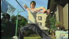 poster-1057-playstation-ps2-virtua-fighter-4-laundry-fighter-236x132