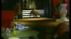 poster-10886-schweppes-leopard-236x132