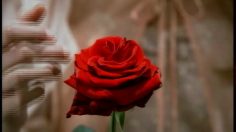 poster-10889-orange-intense-romeo-juliette-236x132