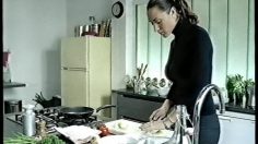 poster-10940-tefal-thermospot-le-crachat-236x132