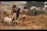 poster-11698-collective-du-lait-zulu-68x45