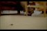 poster-11744-mentos-spider-68x45