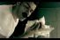 poster-11762-mtv-mtv-india-saare-jahan-68x45