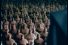 poster-124-hbo-germs-68x45