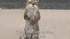poster-12423-miller-lite-otter-236x132
