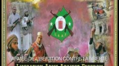 poster-12515-protection-sante-feu-d-artifice-the-volcano-of-justice-236x132