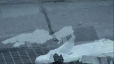 poster-12723-protection-environnement-anti-rechauffement-climatique-polar-bears-236x132