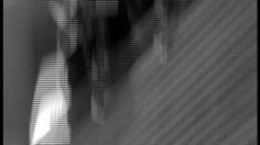 poster-12891-anti-exclusion-humiliations-236x132
