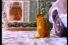 poster-13133-hills-dog-68x45