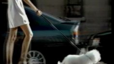 poster-13304-elf-diesel-evolution-le-chien-236x132