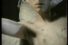 poster-13496-anti-sida-le-malade-au-stade-9-68x45