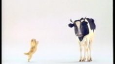 poster-135-collective-du-lait-doggy-236x132