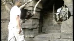 poster-13564-omnisky-zoo-236x132