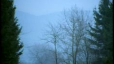 poster-13606-scapino-le-cycliste-236x132