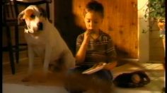poster-13782-weaver-nuggets-puppy-boy-236x132