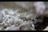 poster-14060-panasonic-lumix-climber-68x45