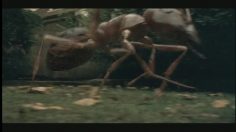 poster-15402-juicy-fruit-ant-236x132