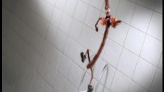 poster-15729-peperami-peperami-noodles-swimmer-236x132