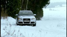 poster-16063-audi-a4-quattro-the-dog-236x132