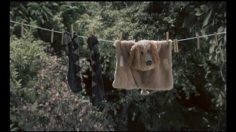 poster-16732-andrex-fake-236x132