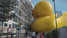 poster-16744-oasis-rubber-duckzilla-236x132