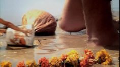 poster-16825-lmn-beach-236x132