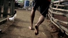 poster-16872-361-degrees-kabbadi-236x132