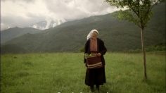 poster-17652-leki-la-vieille-femme-236x132