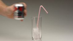poster-17719-power-horse-straw-236x132