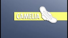 poster-17946-berlitz-language-school-camelia-236x132