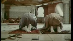 poster-18674-pingouin-tapis-la-lecon-de-tapis-236x132