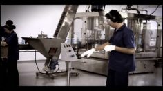 poster-20259-fei-university-of-industrial-engineering-roly-poly-dummy-236x132