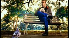 poster-2033-pullman-bread-addict-236x132