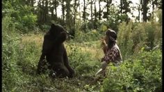 poster-20494-tipp-ex-a-hunter-plays-chifoumi-with-a-bear-236x132