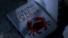 poster-20768-videotron-le-grand-livre-des-crabes-236x132