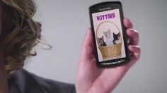 poster-21059-sony-ericsson-xperia-play-kittenliscious-236x132