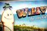poster-21184-aides-anti-sida-willy-the-tourist-68x45
