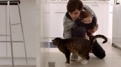 poster-21475-target-diapers-sniff-test-236x132