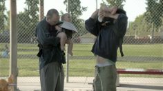 poster-21563-clorox-daddy-236x132