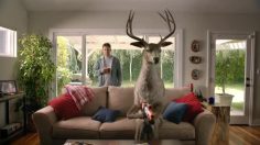 poster-21565-activision-big-game-hunter-2012-50000-bucks-236x132