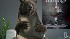poster-21602-canal-l-ours-236x132