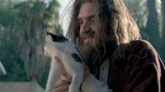poster-21795-directv-stop-taking-in-stray-animals-236x132