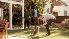 poster-21910-bud-light-rescue-dog-236x132