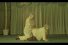 poster-22137-safersex4seniors-org-port-du-preservatif-kamasutra-68x45