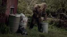 poster-22316-jack-link-s-beef-jerky-snakes-in-a-can-236x132